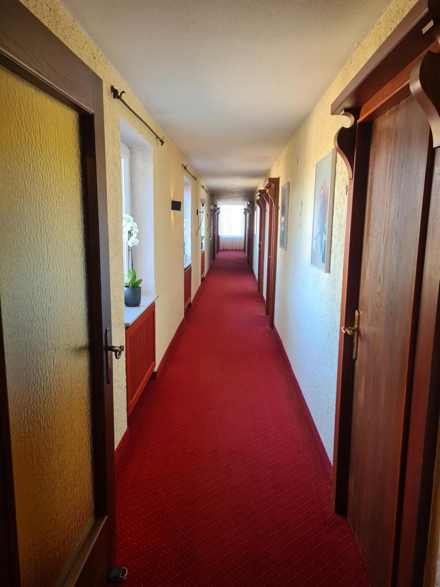 Hotel Birkenmoor Scheidegg Bagian luar foto
